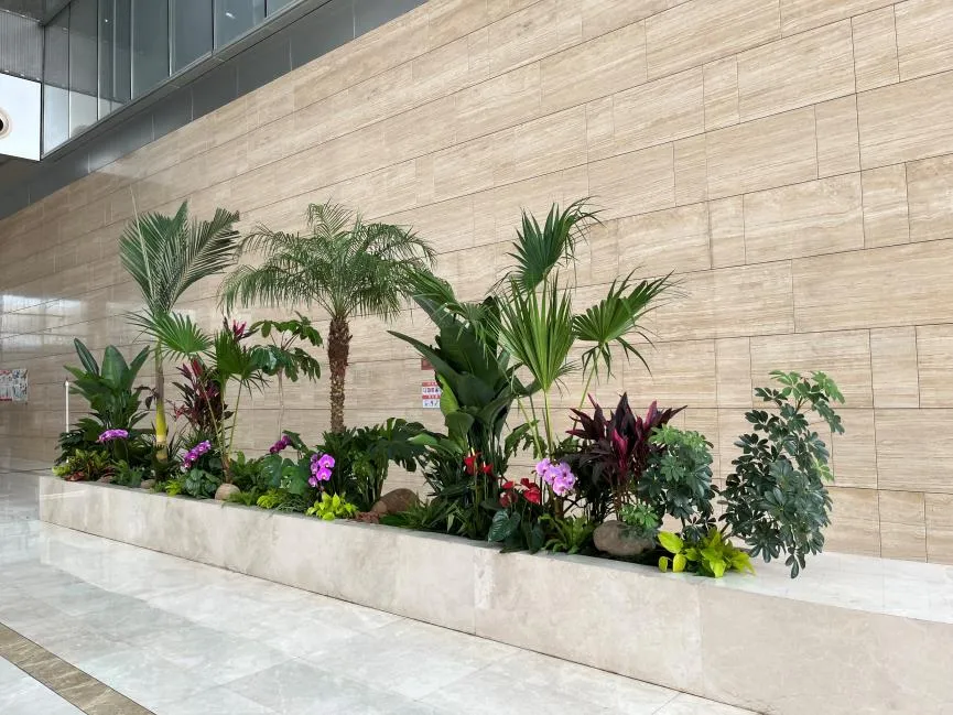 鄞州绿植租摆方案来袭，给你意想不到的绿意